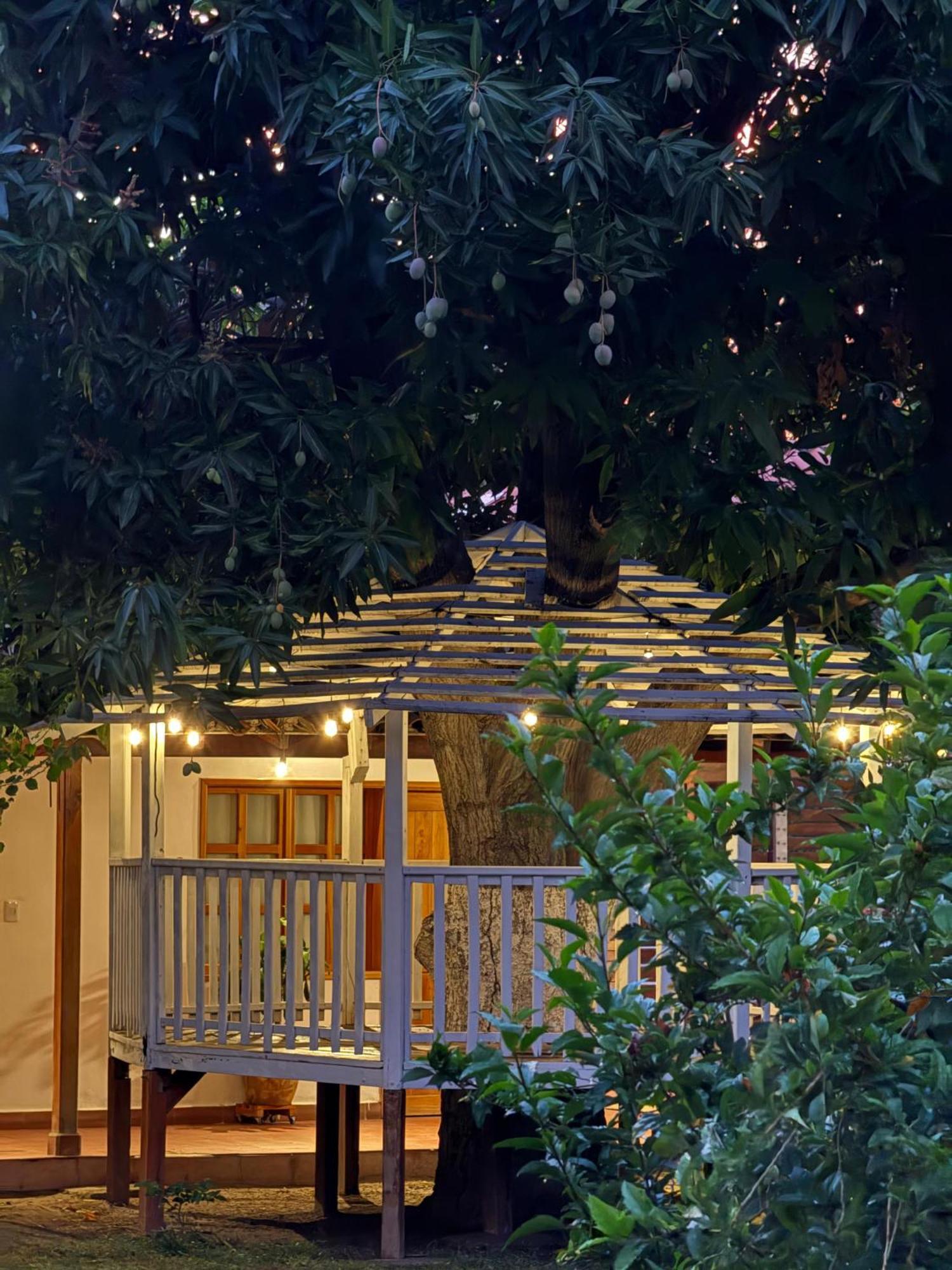 Hotel Jardin Boutique Rodadero サンタ・マルタ エクステリア 写真